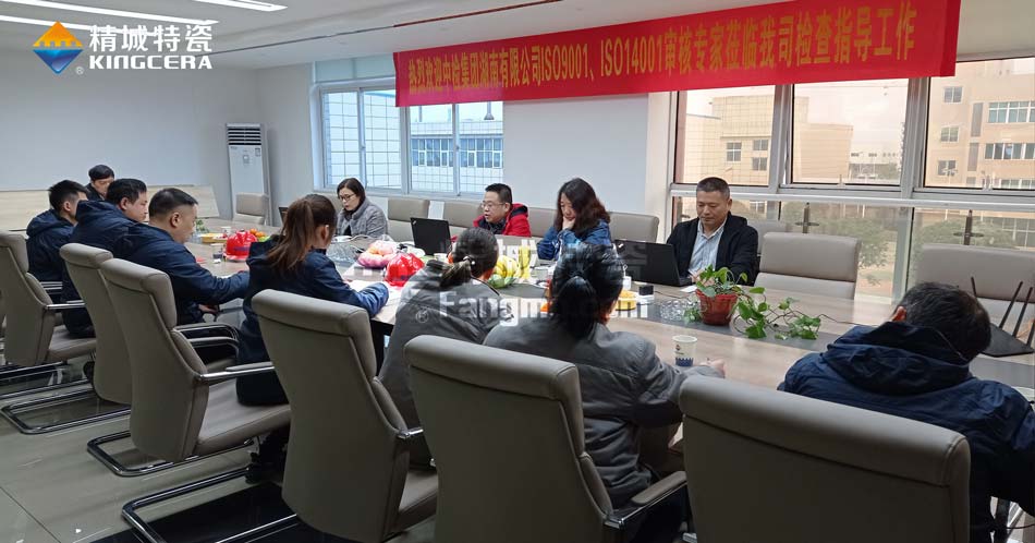 尊龙凯时人生就是搏特瓷ISO14001环境治理系统认证评估审核